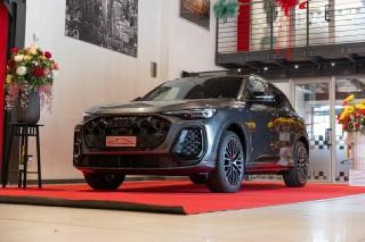 usato AUDI Q5