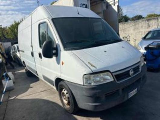 usato FIAT Ducato