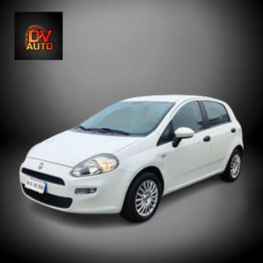 usato FIAT Punto