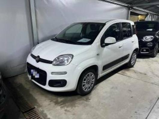 usato FIAT Panda