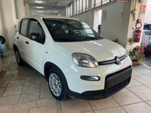 usato FIAT Panda
