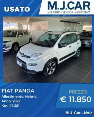 Panda