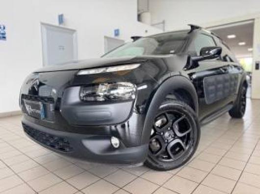 C4 Cactus