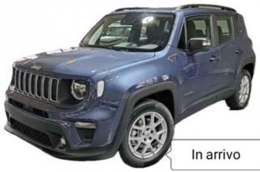 usato JEEP Renegade