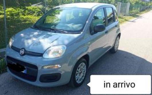 usato FIAT Panda