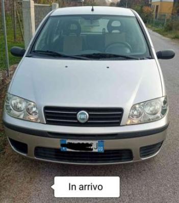 usato FIAT Punto