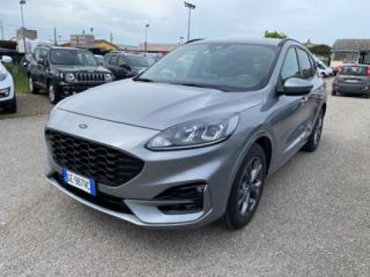 Kuga