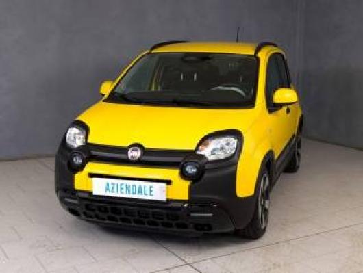 usato FIAT Panda Cross