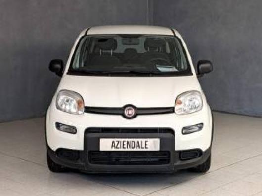 usato FIAT Panda