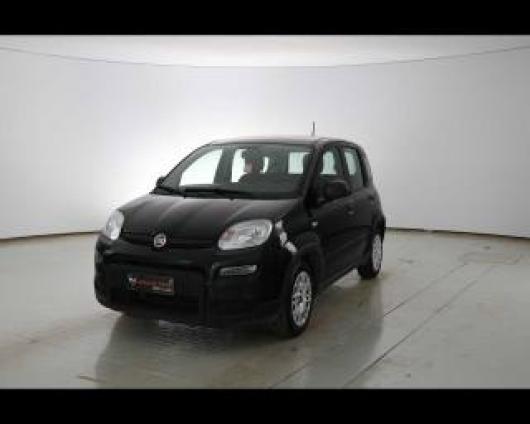 usato FIAT Panda