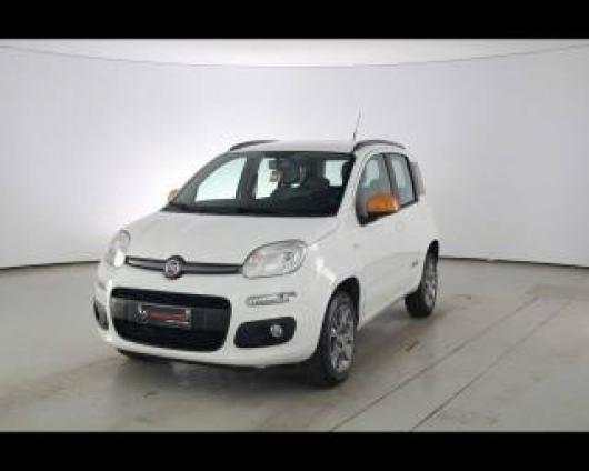 usato FIAT Panda