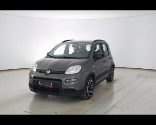 usato FIAT Panda
