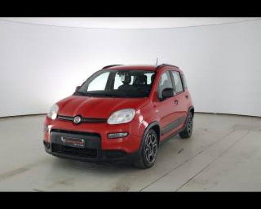 usato FIAT Panda