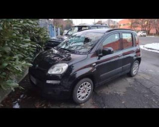 usato FIAT Panda