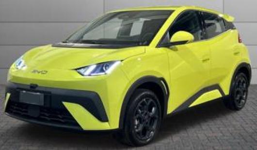 nuovo BYD Dolphin