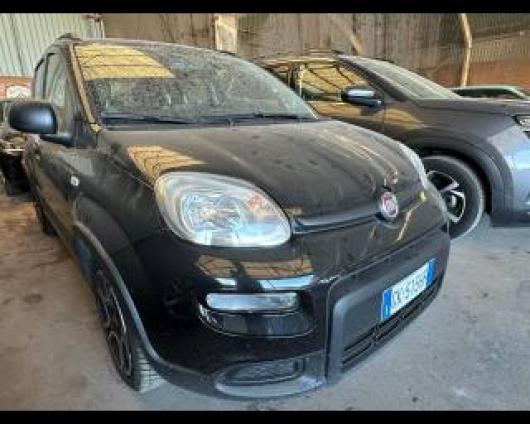 usato FIAT Panda