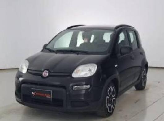 usato FIAT Panda