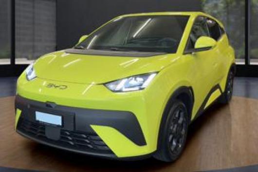 usato BYD Dolphin