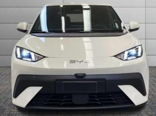 usato BYD Dolphin
