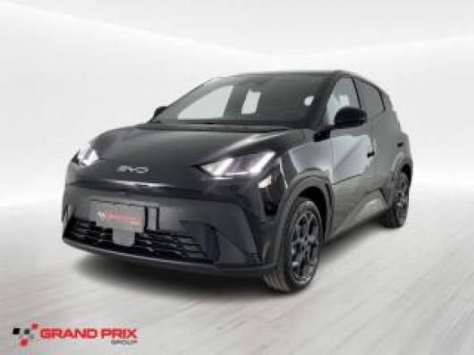 usato BYD Dolphin