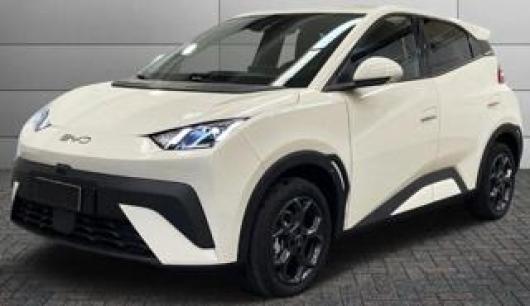 usato BYD Dolphin Surf