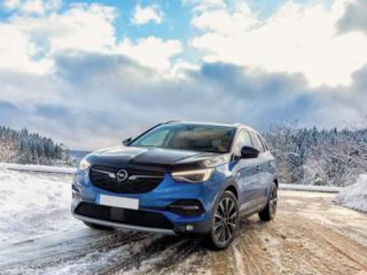 usato OPEL Grandland X