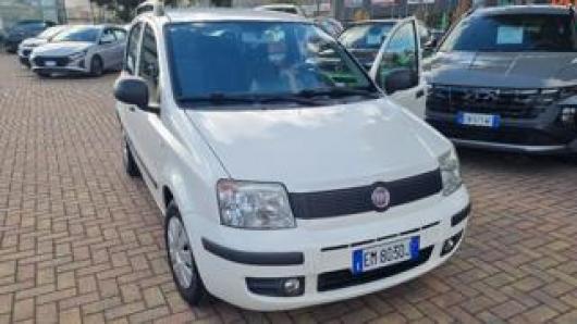 usato FIAT Panda