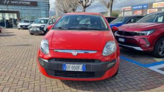 usato FIAT Punto Evo