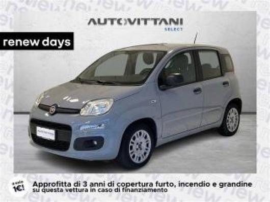 usato FIAT Panda