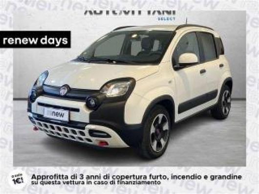 usato FIAT Panda