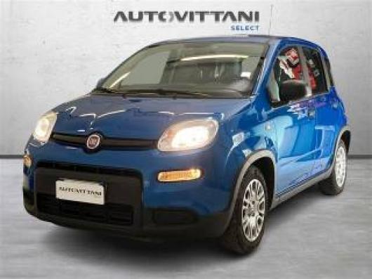 usato FIAT Panda