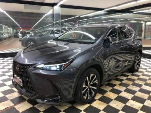 usato LEXUS NX 450h