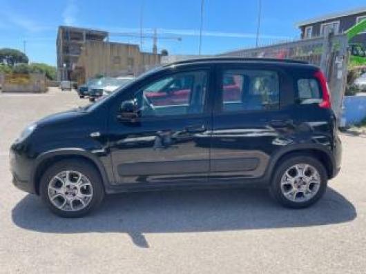 usato FIAT Panda