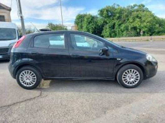 usato FIAT Punto