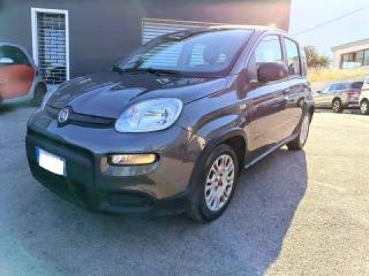 usato FIAT Panda