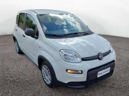usato FIAT Panda