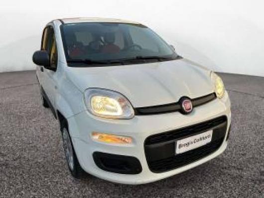 usato FIAT Panda