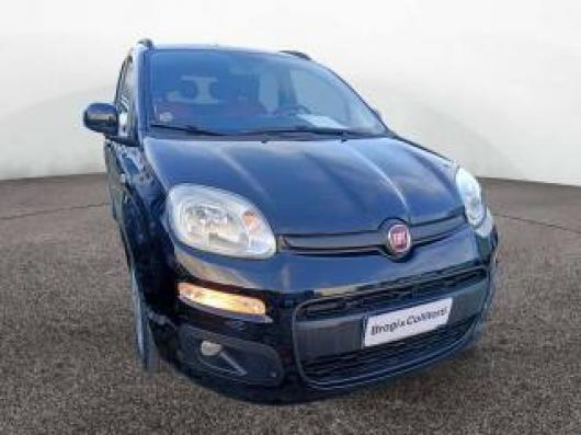 usato FIAT Panda