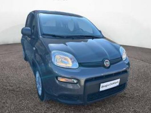usato FIAT Panda