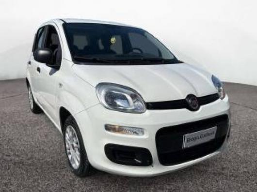 usato FIAT Panda