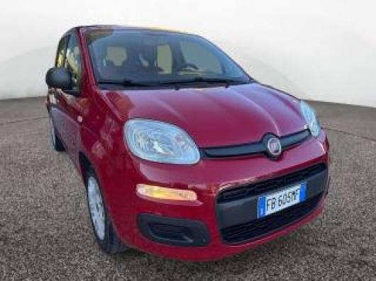 usato FIAT Panda