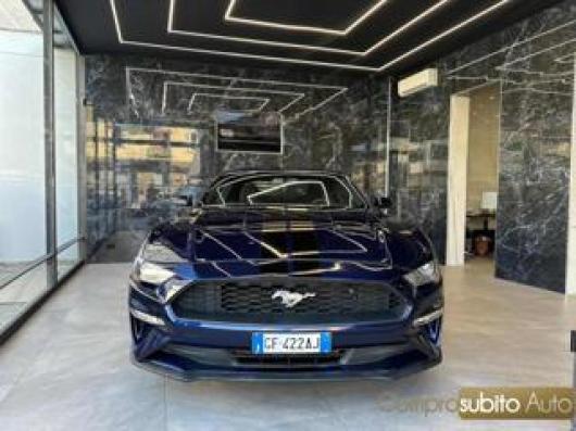 Mustang