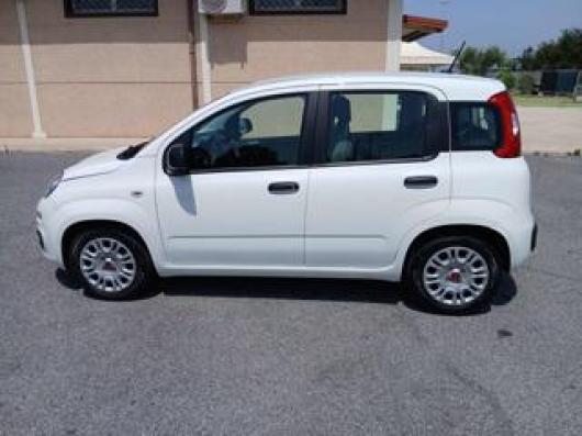 usato FIAT Panda