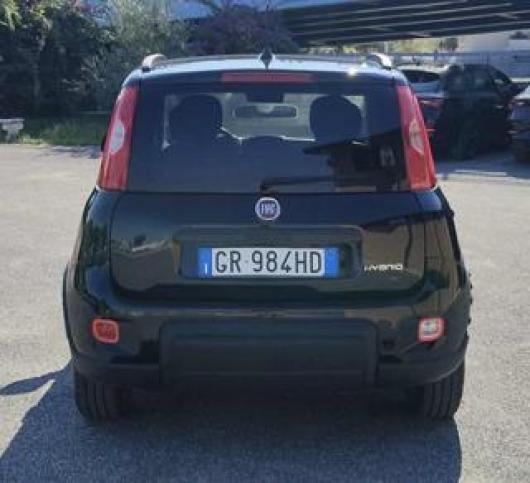 usato FIAT Panda