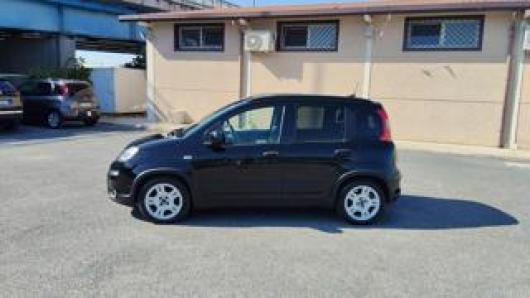 usato FIAT Panda