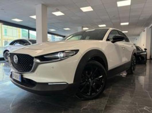 CX 30