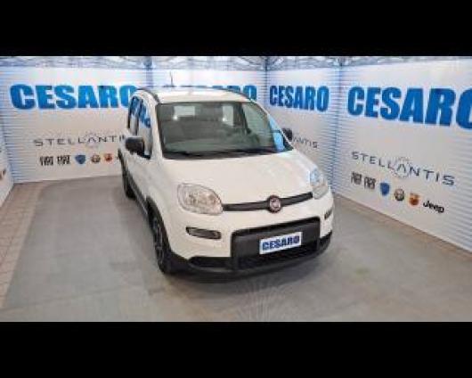 usato FIAT New Panda