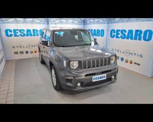 usato JEEP Renegade