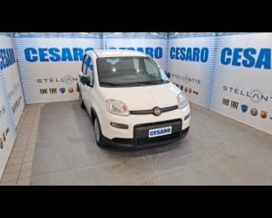 usato FIAT New Panda