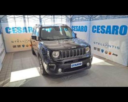 usato JEEP Renegade